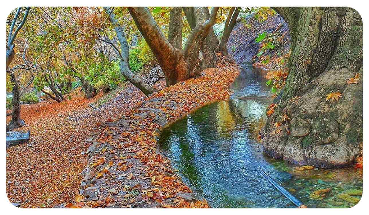کردستان - آساره تراول